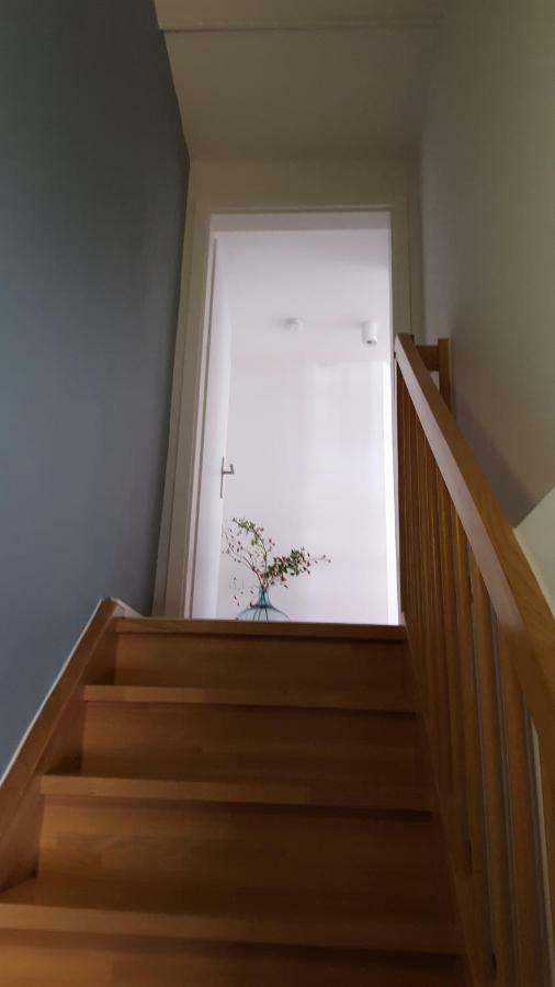 Villa Haus Zum Wilden Manne Erfurt Esterno foto